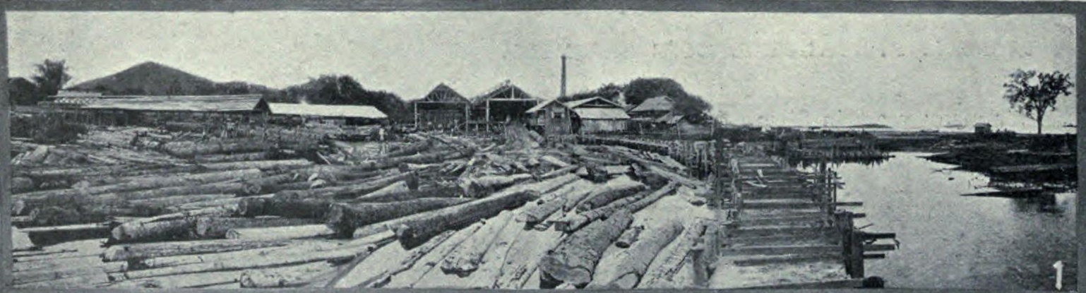 sawmill_1908