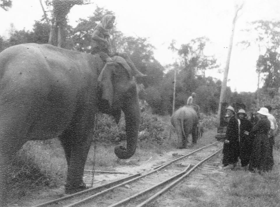 elephant_and_rail